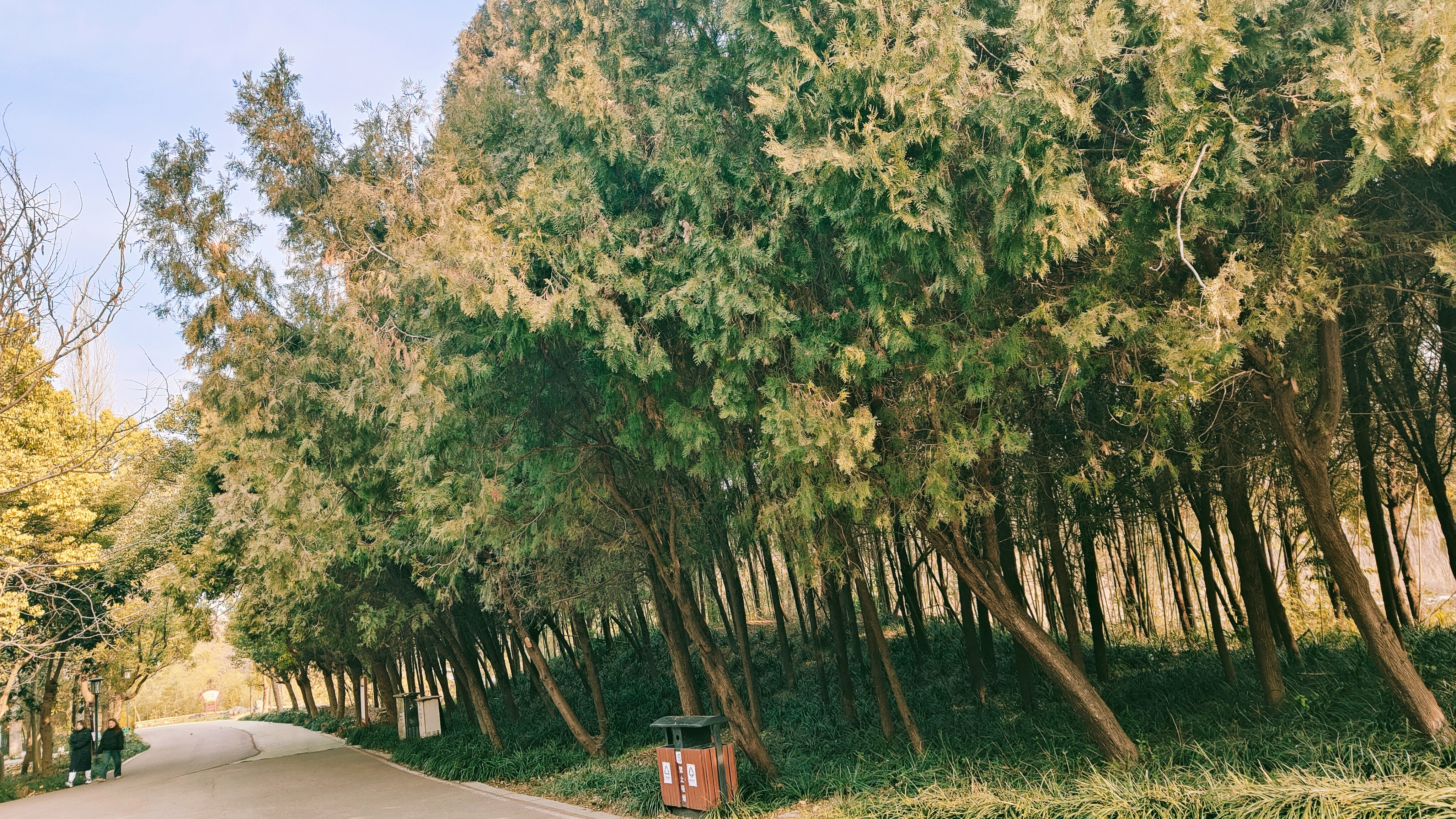 美人鱼10.jpg
