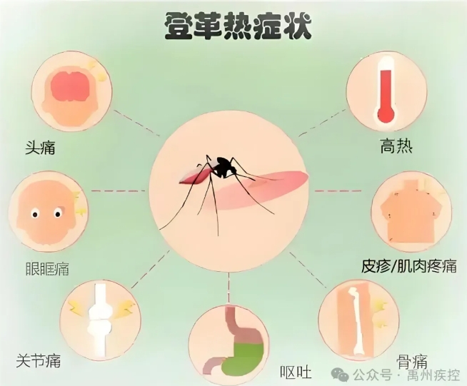 微信截图_20250117161844.png