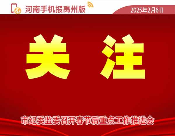 河南手机报模板.jpg