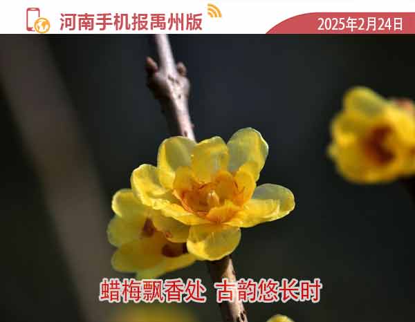 河南手机报模板.jpg