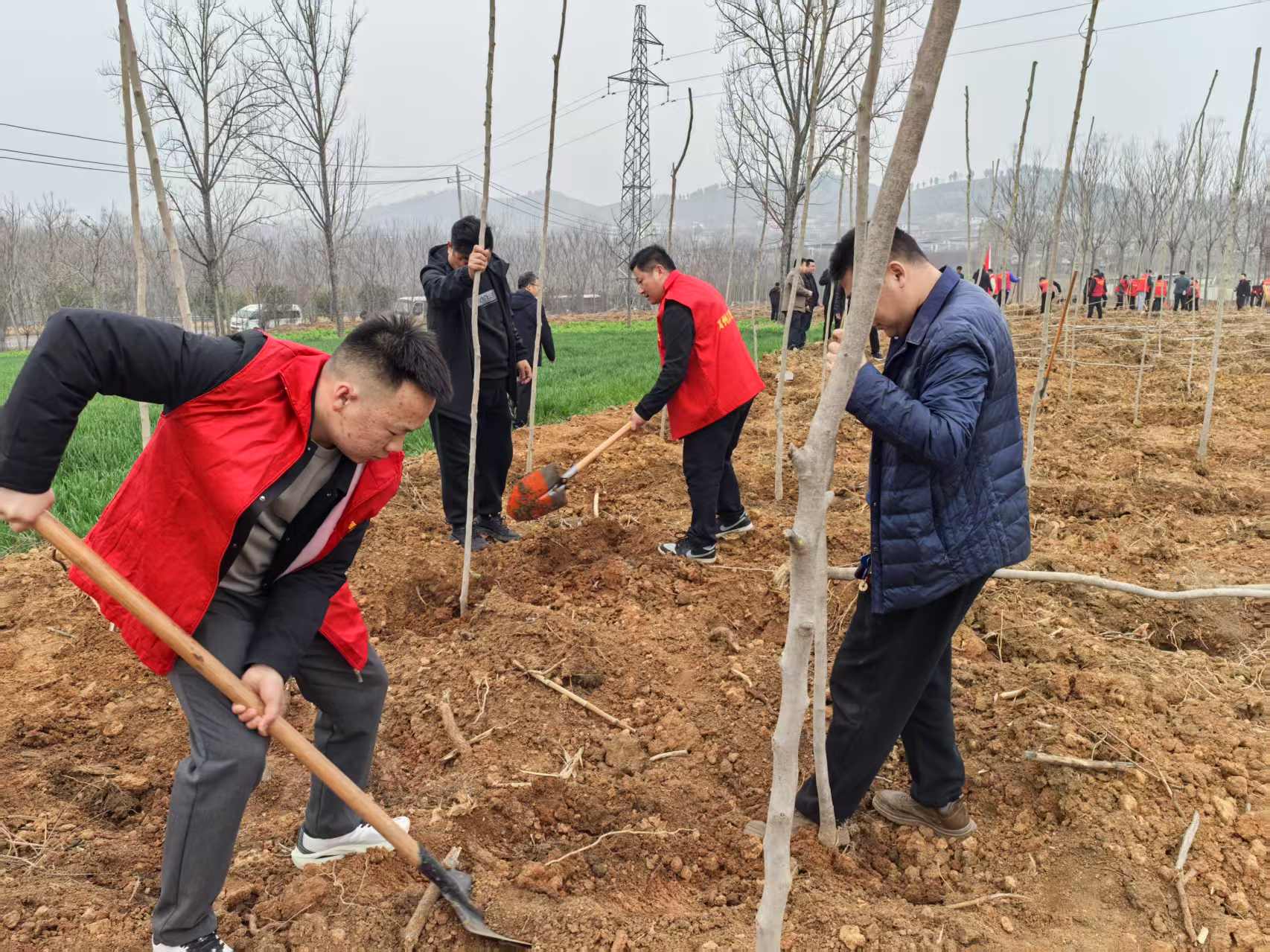 微信图片_20250313105109.jpg