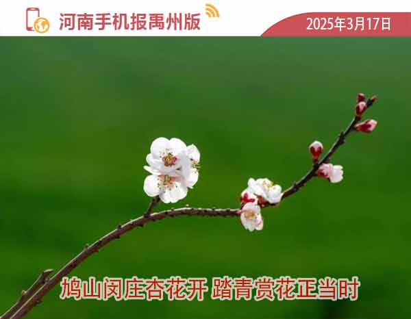 河南手机报模板-恢复的.jpg