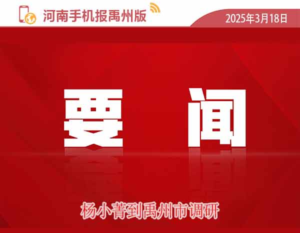 河南手机报模版.jpg