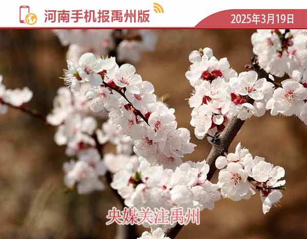 河南手机报模版.jpg