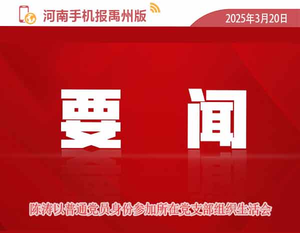 河南手机报模版.jpg