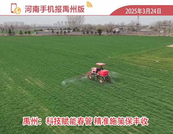 河南手机报模版1.jpg