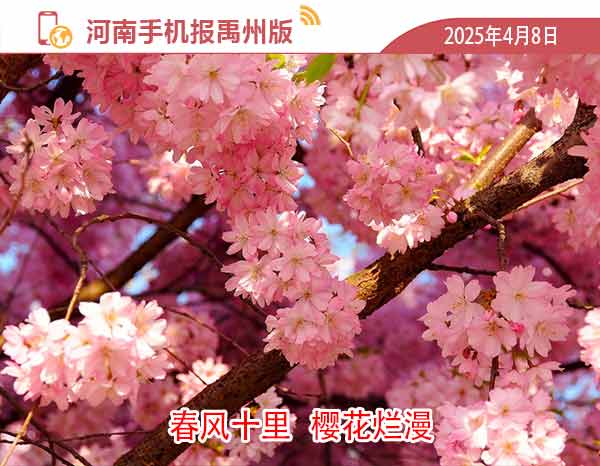 河南手机报模版1.jpg