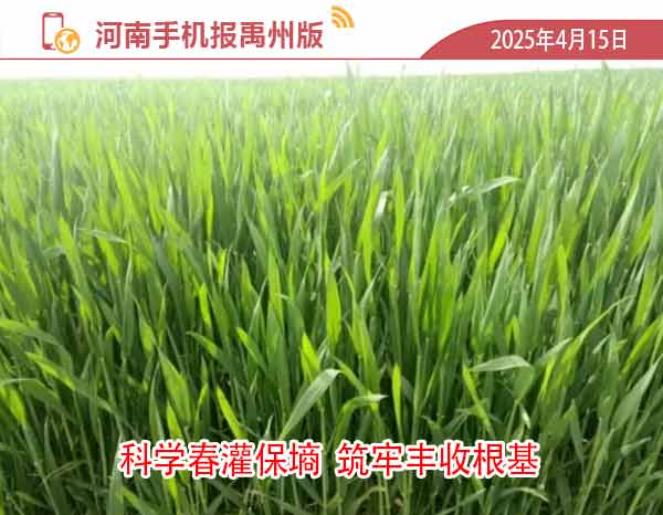 河南手机报模版1.jpg