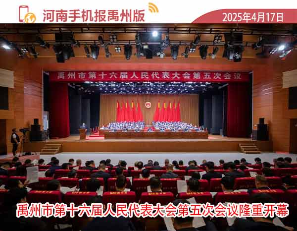 河南手机报模板.jpg