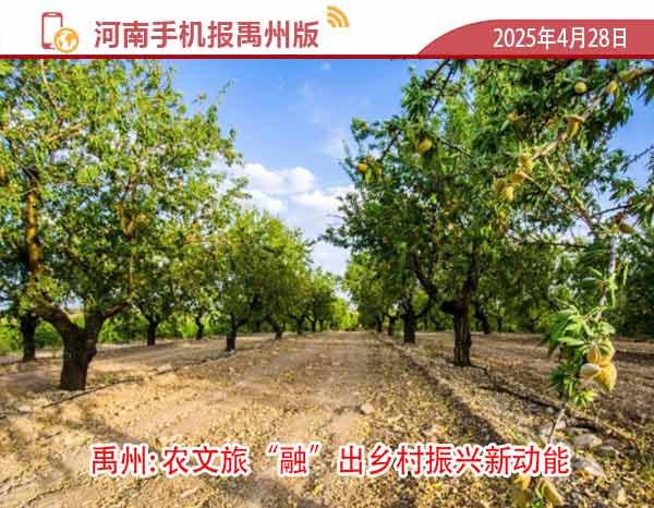 河南手机报模版1.jpg