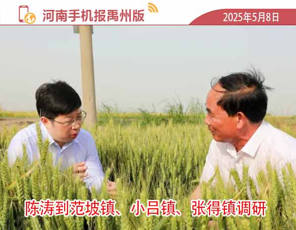 河南手机报模版1.jpg