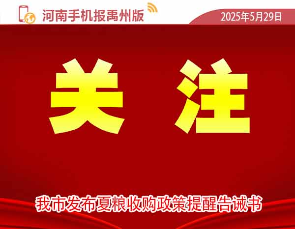 河南手机报模版1.jpg