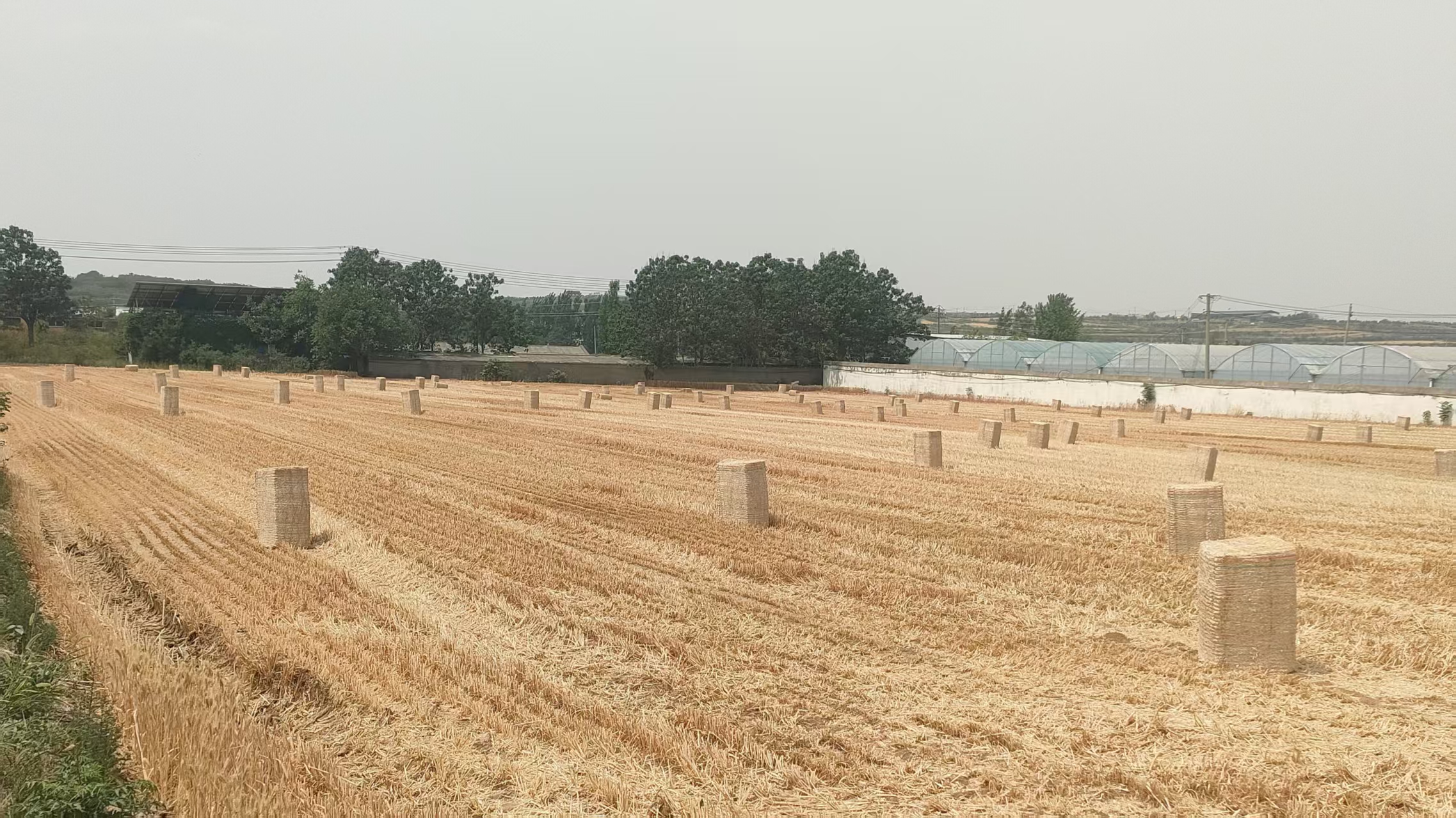 微信图片_20250605184055.jpg