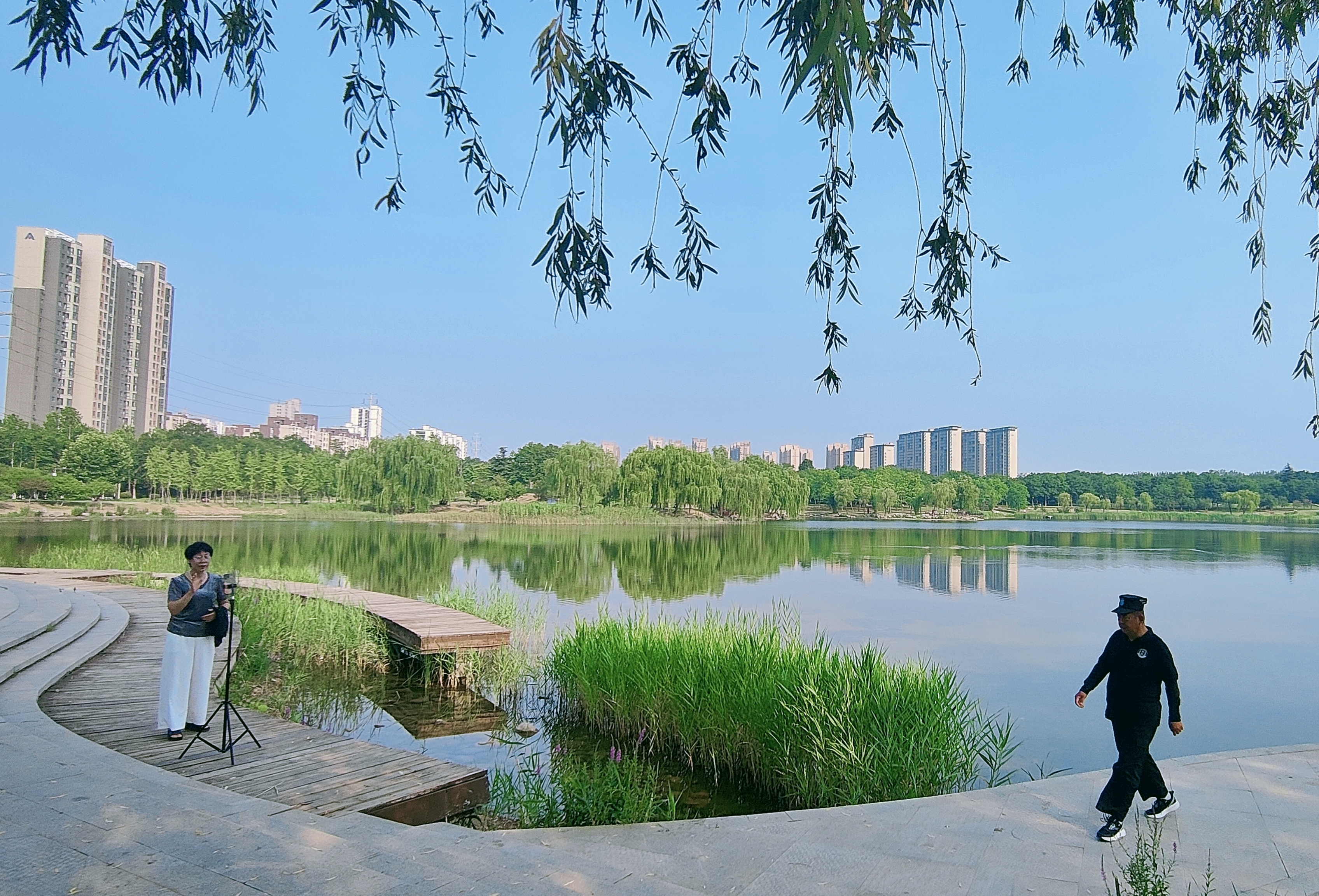 1植物园1.jpg