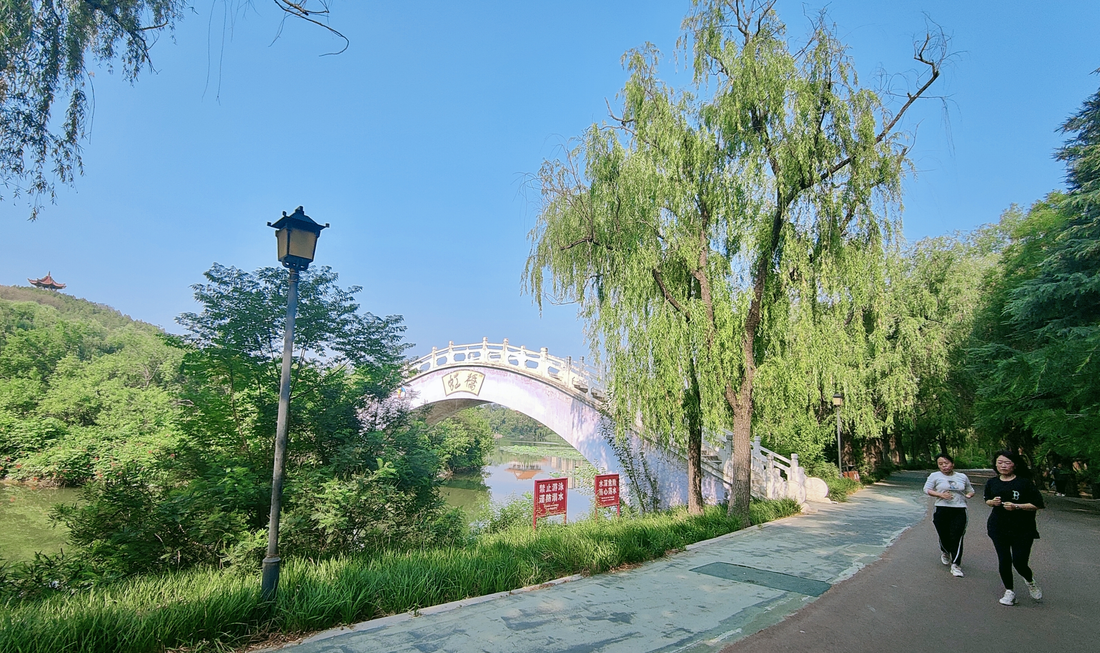 1植物园5.jpg