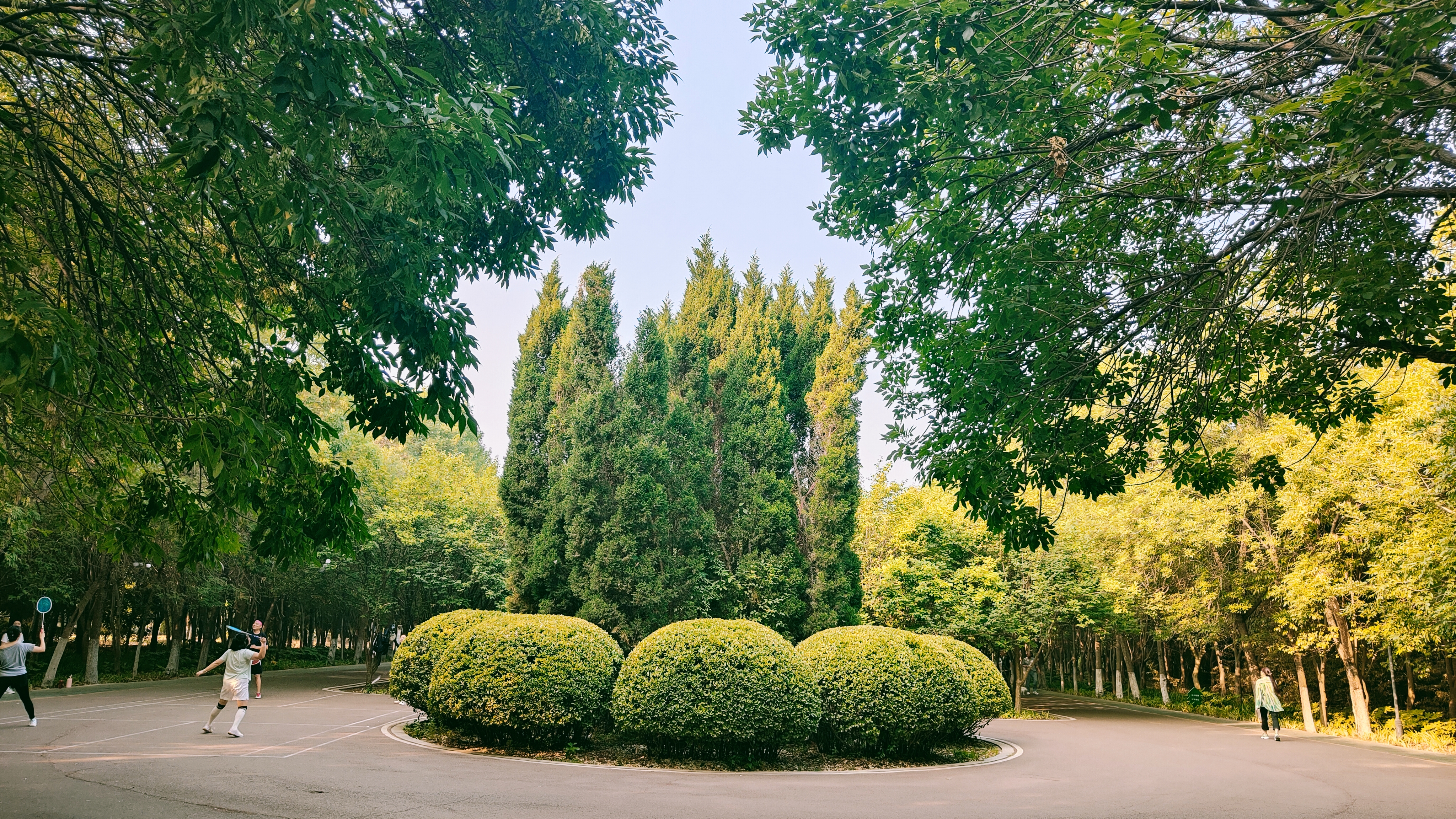 2植物园17.jpg