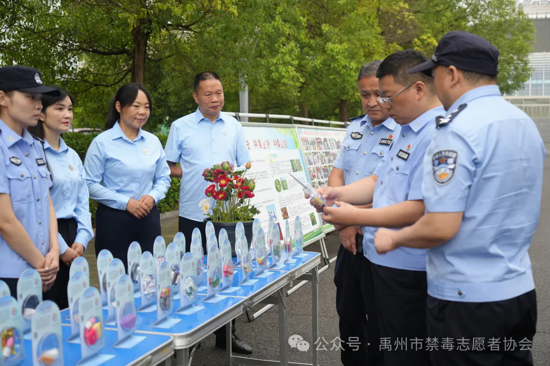 640.webp (5).png