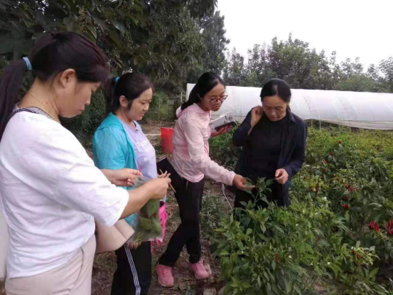 微信圖片_20210625164907.png
