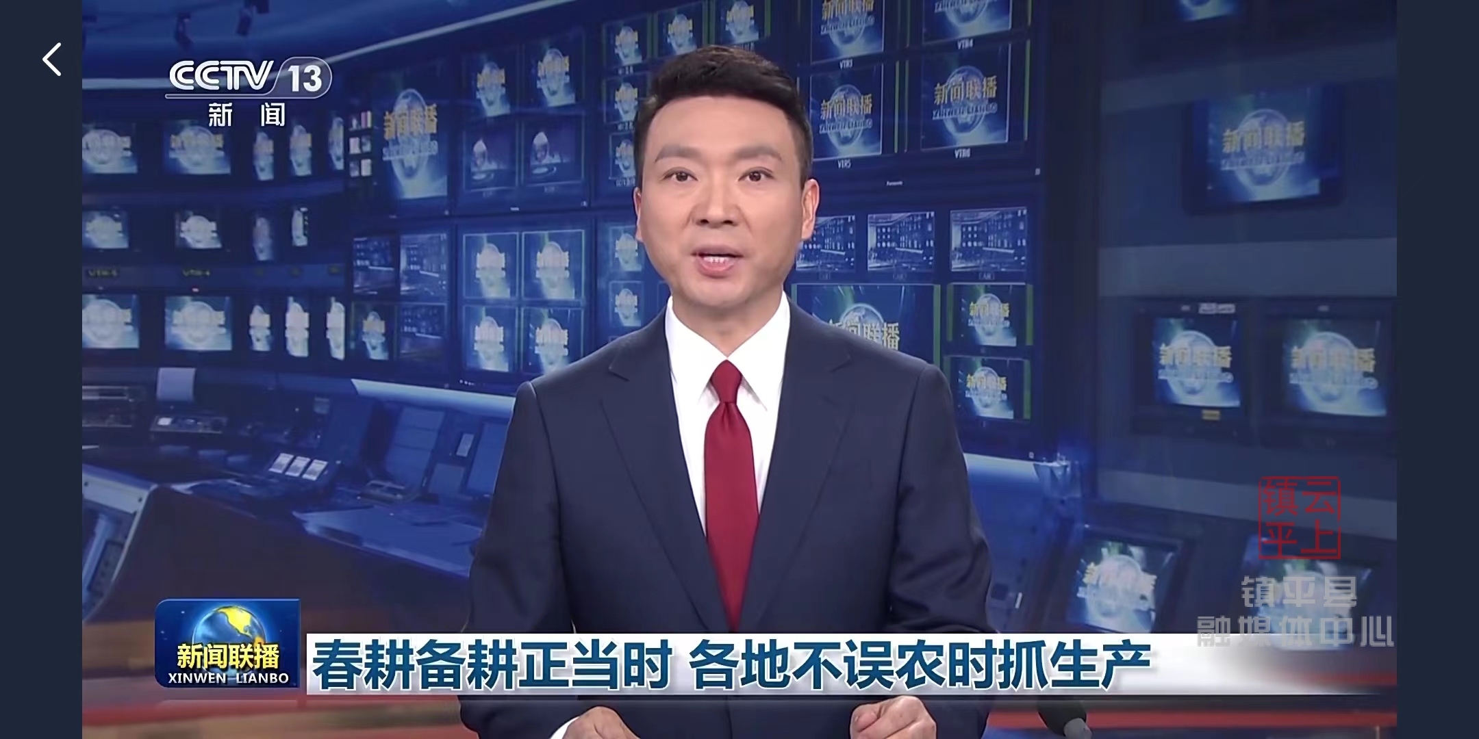 央视新闻联播关注镇平春季雪天麦田管理